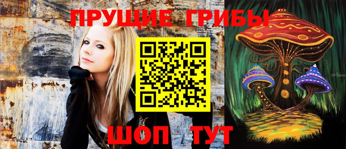 Псилоцибиновые грибы Magic Shrooms Менделеевск