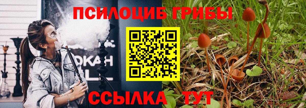 Менделеевск  Галлюциногенные грибы Magic Shrooms  закладки  Вход с VPN 